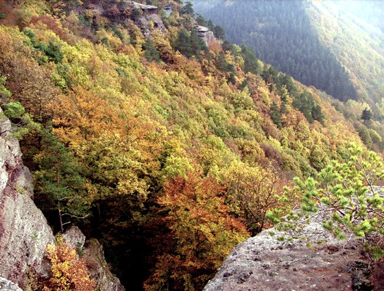 Herbstimpressionen Herbstimpressionen