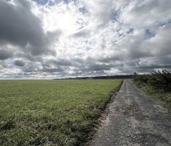 Entlang der Tour Nr. 66 - Kall Trail, © Rureifel-Tourismus e.V., Michelle Wiesen Entlang der Tour Nr. 66 - Kall Trail, © Rureifel-Tourismus e.V., Michelle Wiesen