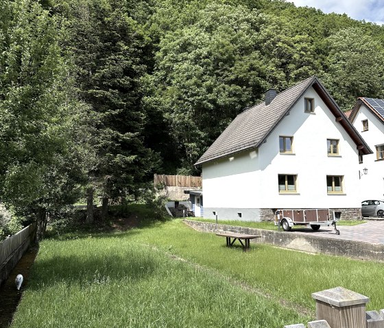 Ginkgo Biloba 05-2024-3, © Nordeifel Tourismus GmbH & Ferienhaus Ginko Biloba Ginkgo Biloba 05-2024-3, © Nordeifel Tourismus GmbH & Ferienhaus Ginko Biloba