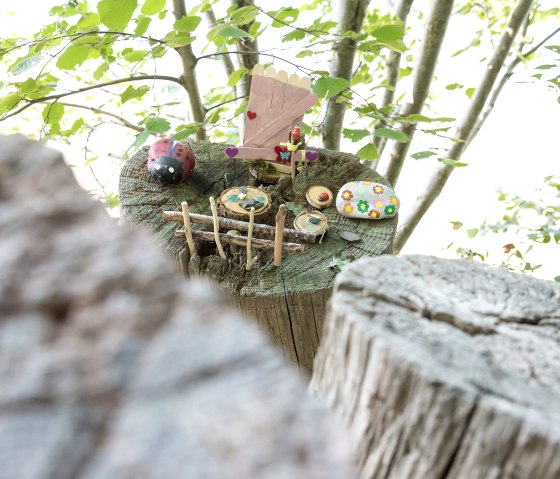 Discover elf houses on the elf trail/jungle trail, © Eifel Tourismus GmbH, AR-shapefruitAG Discover elf houses on the elf trail/jungle trail, © Eifel Tourismus GmbH, AR-shapefruitAG