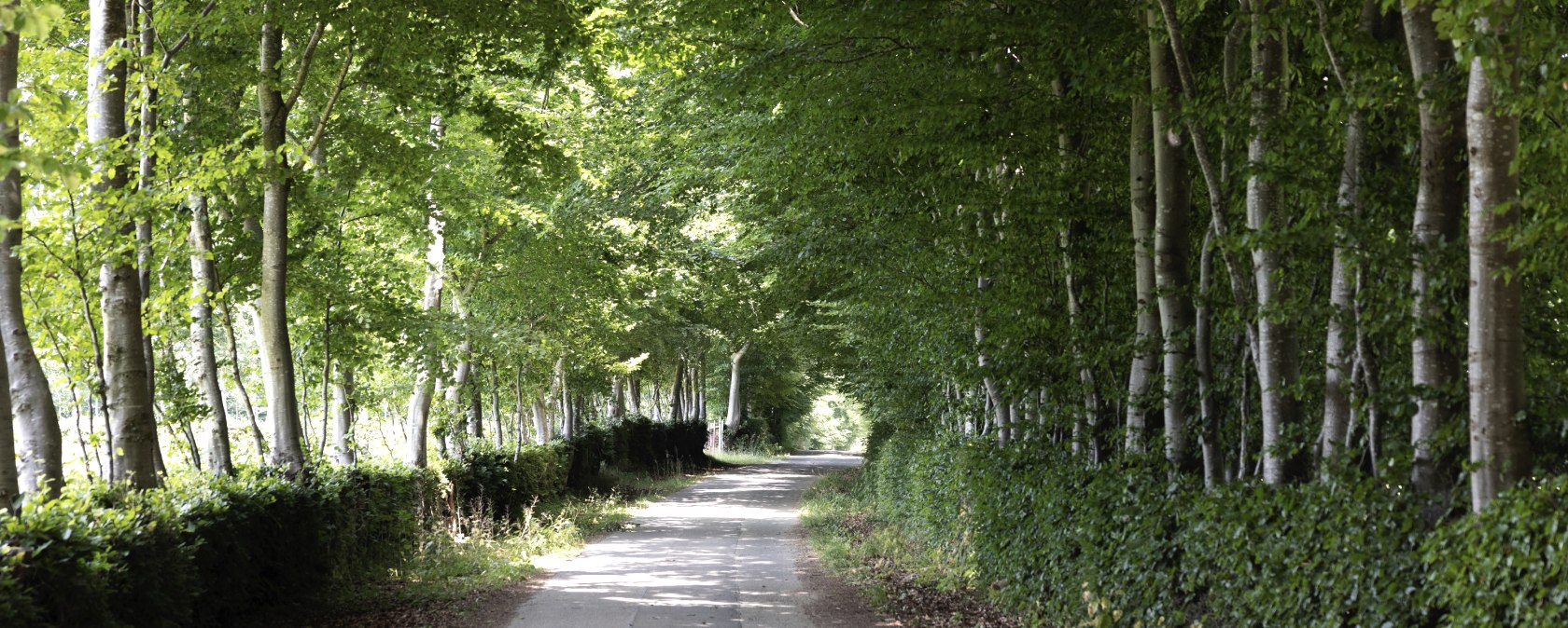 Flurheckenweg Eicherscheid, © Eifel Tourismus GmbH, Tobias Vollmer Flurheckenweg Eicherscheid, © Eifel Tourismus GmbH, Tobias Vollmer