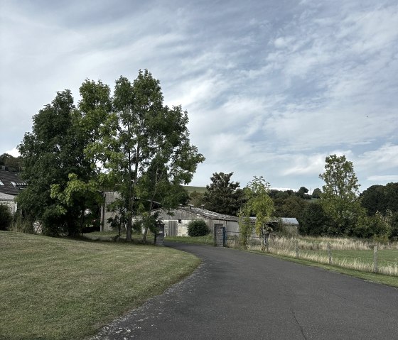 Driveway Driveway
