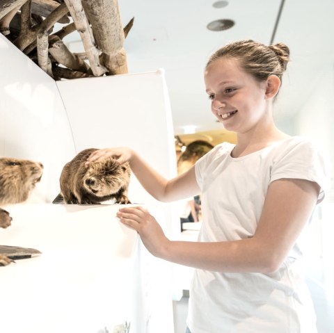 Wildnisträume, © Nationalpark Eifel Pressemitteilung Wildnisträume, © Nationalpark Eifel Pressemitteilung