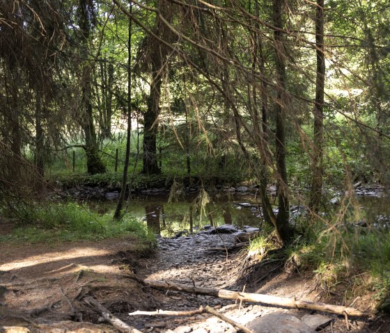 Stream in the forest, © eifel-tourismus-gmbh_tobias-vollmer Stream in the forest, © eifel-tourismus-gmbh_tobias-vollmer