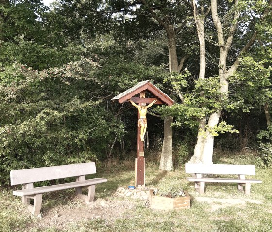 20210920_090357, © Annette Rosen-Roevenich & Nordeifel Tourismus GmbH 20210920_090357, © Annette Rosen-Roevenich & Nordeifel Tourismus GmbH