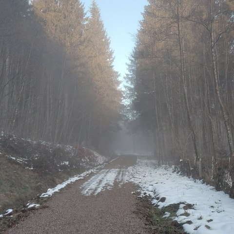 Januarwaldweg (co) Theißen-Braun Januarwaldweg (co) Theißen-Braun
