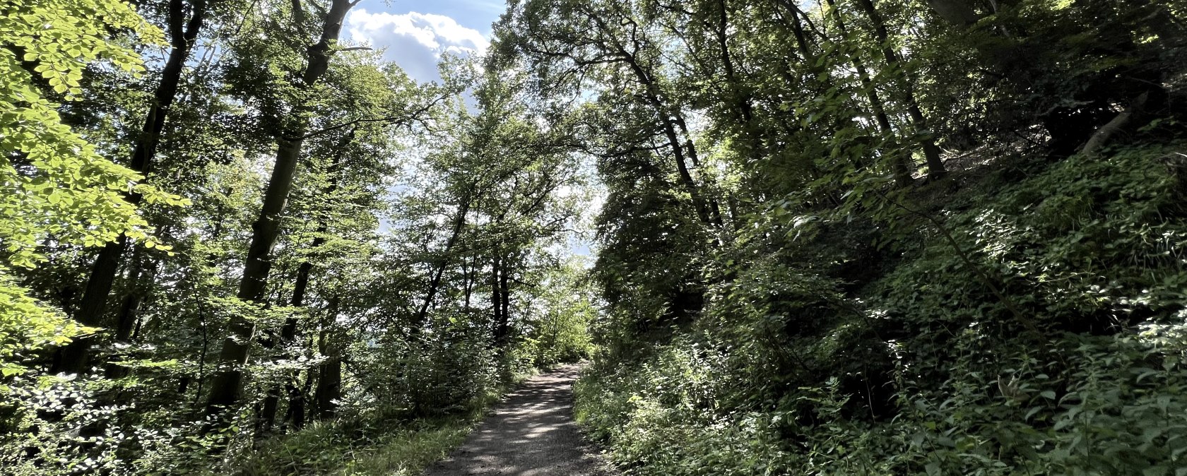 IMG_2355, © Rureifel-Tourismus e.V., Michelle Wiesen IMG_2355, © Rureifel-Tourismus e.V., Michelle Wiesen