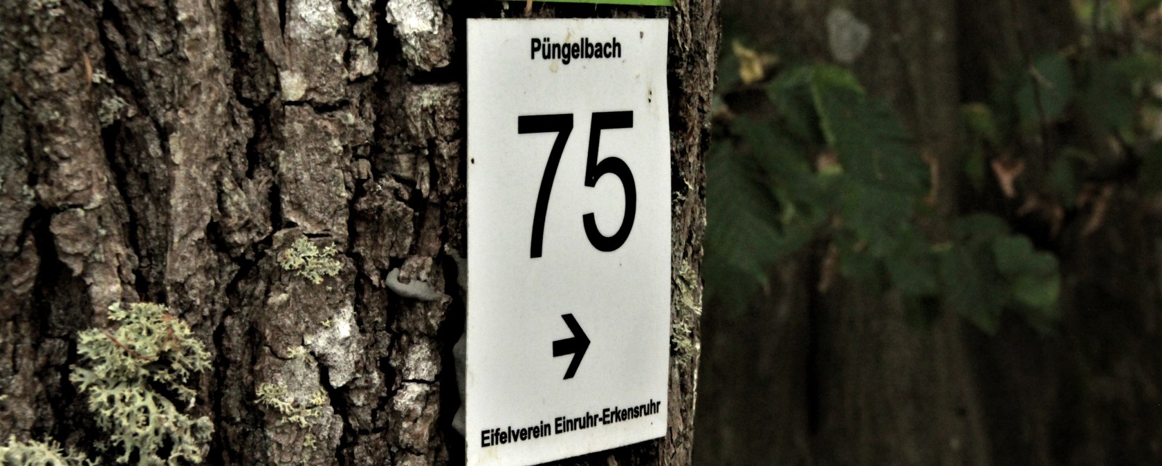 Wegbeschilderung, © Rursee-Touristik GmbH, Conni Schink Wegbeschilderung, © Rursee-Touristik GmbH, Conni Schink