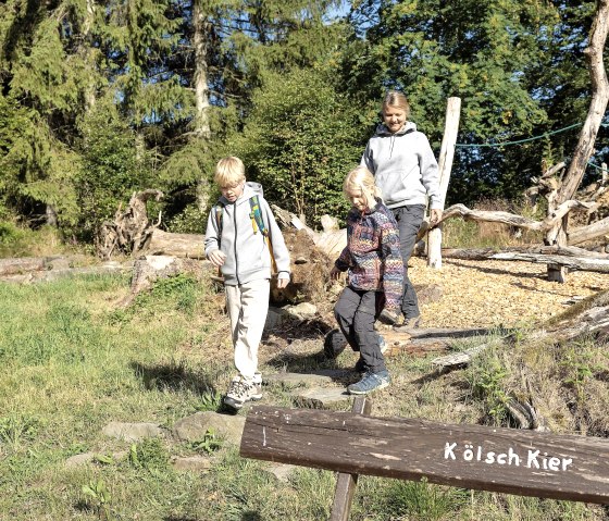 Balanciert durch den Walderlebnisparcours, © Eifel Tourismus GmbH, Tobias Vollmer - finanziert durch REACT-EU Balanciert durch den Walderlebnisparcours, © Eifel Tourismus GmbH, Tobias Vollmer - finanziert durch REACT-EU