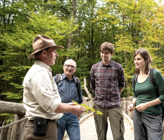 Führung mit dem Ranger auf dem Wilden Weg, © Nationalpark Eifel, Dominik Ketz Führung mit dem Ranger auf dem Wilden Weg, © Nationalpark Eifel, Dominik Ketz