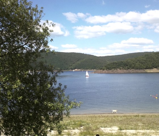 Urlaub vor der Haustüre, © Beach Club Eifel Urlaub vor der Haustüre, © Beach Club Eifel