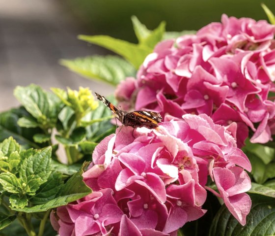 Groß (DS_06578) Groß (DS_06578)