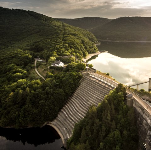 Urfttalsperre im Nationalpark Eifel, © Eifel Tourismus GmbH, D. Ketz Urfttalsperre im Nationalpark Eifel, © Eifel Tourismus GmbH, D. Ketz