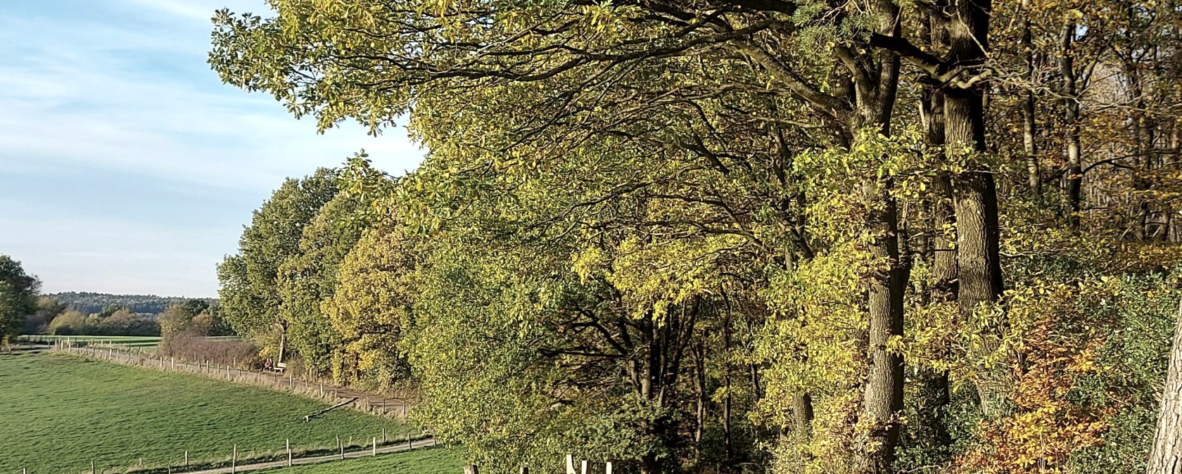 Lehmjöres Aussicht September-Oktober (co) Theißen- Lehmjöres Aussicht September-Oktober (co) Theißen-