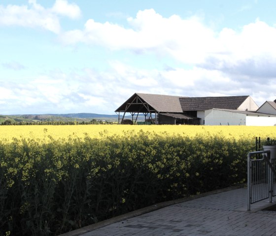 Ausblick, © Nordeifel Tourismus GmbH & FW Radermacher Ausblick, © Nordeifel Tourismus GmbH & FW Radermacher