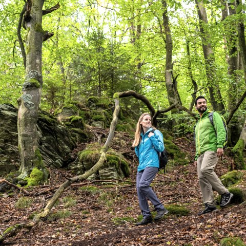 Wanderung in Rohren, © Eifel-Tourismus GmbH, Dominik Ketz Wanderung in Rohren, © Eifel-Tourismus GmbH, Dominik Ketz