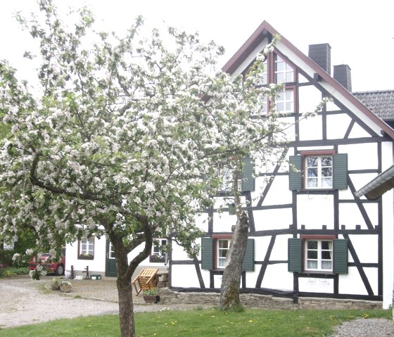 Seitenansicht, © Nordeifel Tourismus GmbH & Ferienhaus Cremer Seitenansicht, © Nordeifel Tourismus GmbH & Ferienhaus Cremer