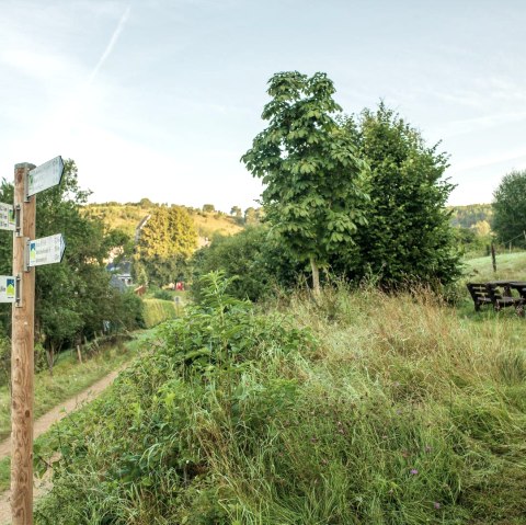 Wanderwege im Lampertstal, © Paul Meixner Wanderwege im Lampertstal, © Paul Meixner