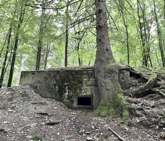 Bunkers along the hiking route, © Monschauer Land Touristik e.V. Bunkers along the hiking route, © Monschauer Land Touristik e.V.