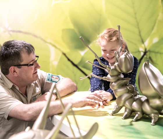 Ausstellung Wildnis(t)räume mit Kindern besuchen, © Nationalpark Eifel Ausstellung Wildnis(t)räume mit Kindern besuchen, © Nationalpark Eifel