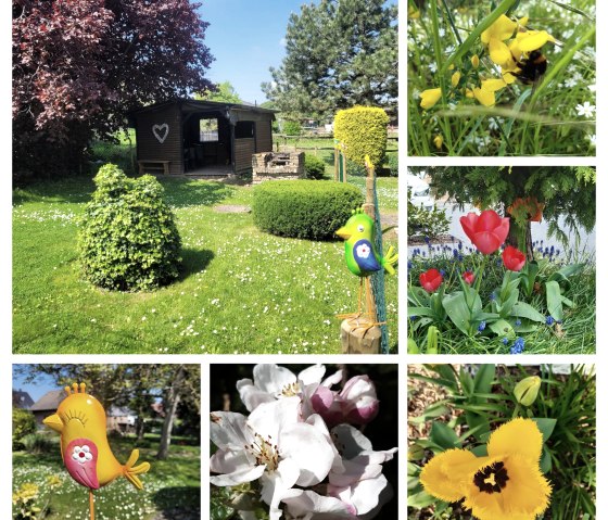 20230402_155501-COLLAGE, © Nordeifel Tourismus GmbH & Annette Rosen Roevenich 20230402_155501-COLLAGE, © Nordeifel Tourismus GmbH & Annette Rosen Roevenich