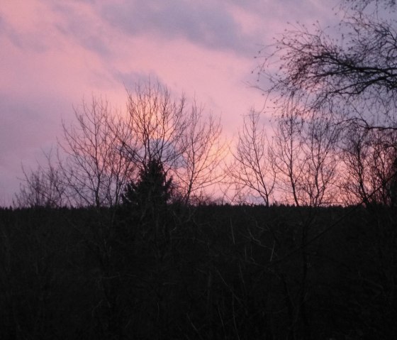 Evening sky Evening sky