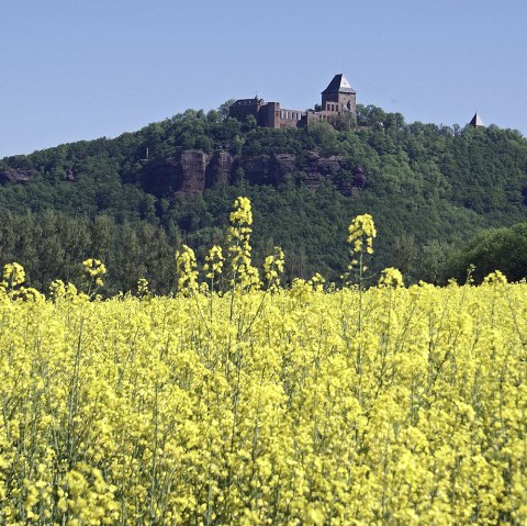 castle-nideggen castle-nideggen