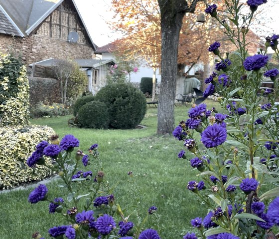 IMG_4070 2, © Nordeifel Tourismus GmbH & Ferienhaus Höppches IMG_4070 2, © Nordeifel Tourismus GmbH & Ferienhaus Höppches