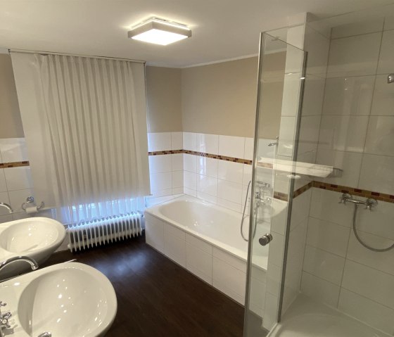 Apartment bathroom shower and bathtub example Apartment bathroom shower and bathtub example