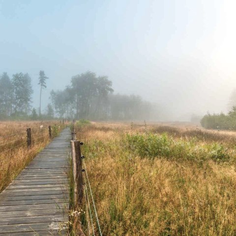 Sistiger Heide, © Paul Meixner Sistiger Heide, © Paul Meixner