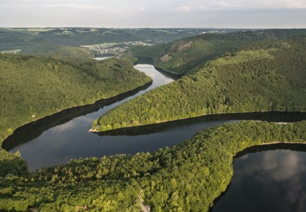 Die Wandertour Wasserlandroute führt immer am Wasser entlang, © Eifel Tourismus GmbH/D. Ketz Die Wandertour Wasserlandroute führt immer am Wasser entlang, © Eifel Tourismus GmbH/D. Ketz