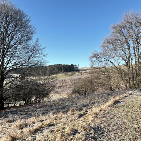 Adventlicher Spaziergang, © Eifeler Kräuterwelten Adventlicher Spaziergang, © Eifeler Kräuterwelten