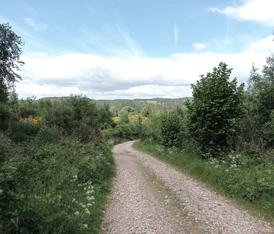 Wanderung, © Nationalpark Seelsorge Wanderung, © Nationalpark Seelsorge
