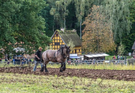 Arbeiten auf dem Feld, © Hans-Theo Gerhards//LVR Arbeiten auf dem Feld, © Hans-Theo Gerhards//LVR