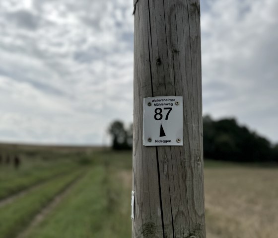 Wegbeschilderung, © Rureifel-Tourismus e.V., Dennis Winands Wegbeschilderung, © Rureifel-Tourismus e.V., Dennis Winands