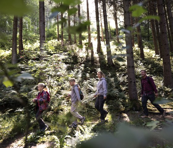 Familie auf dem Waldweg, © eifel-tourismus-gmbh_tobias-vollmer Familie auf dem Waldweg, © eifel-tourismus-gmbh_tobias-vollmer
