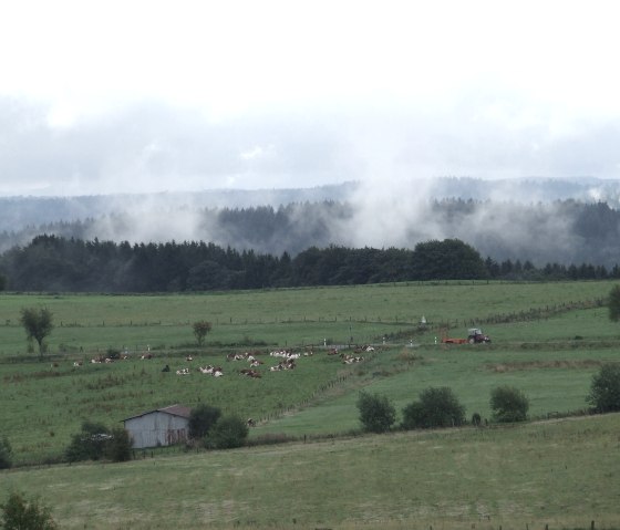 Blick vom Hof, © Nordeifel Tourismus GmbH & Gästehaus Jütten Blick vom Hof, © Nordeifel Tourismus GmbH & Gästehaus Jütten