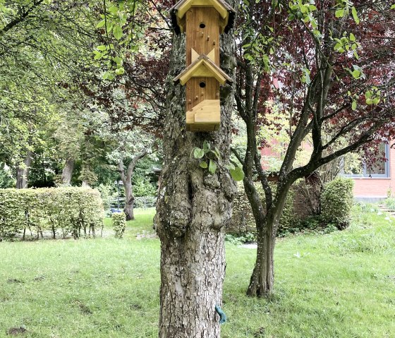 Vogelhotel Vogelhotel