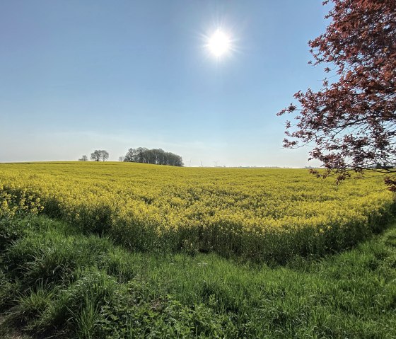 Nideggen-rath auf dem Weg zum Boerdeblick Nideggen-rath auf dem Weg zum Boerdeblick