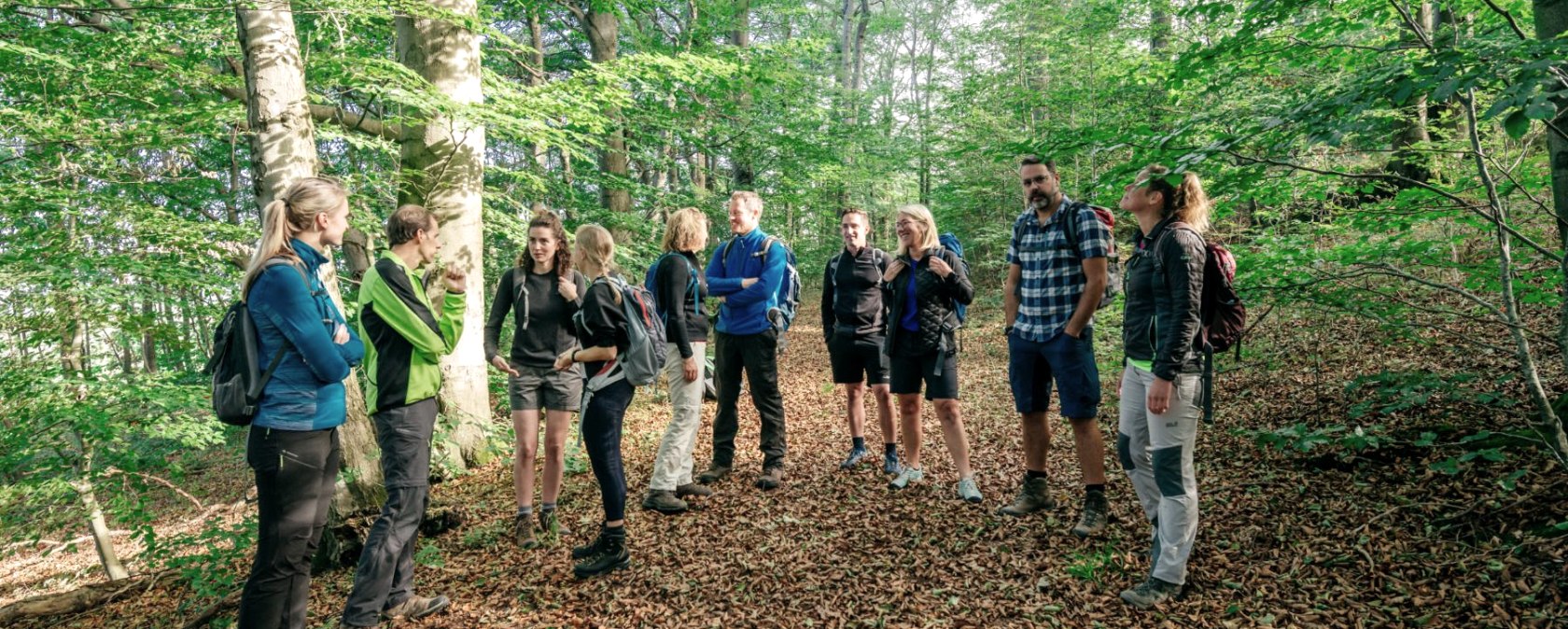 Wandergruppe im Wald, © Paul Meixner Wandergruppe im Wald, © Paul Meixner