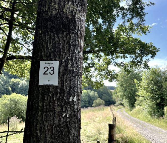 Markierung der Tour, © Monschauer Land Touristik e.V. Markierung der Tour, © Monschauer Land Touristik e.V.