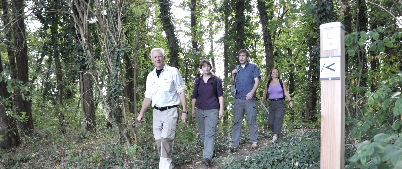 Wanderweg auf der Etappe 4 des Römerkanal-Wanderweg, © Wandermagazin/ N. Glatter Wanderweg auf der Etappe 4 des Römerkanal-Wanderweg, © Wandermagazin/ N. Glatter