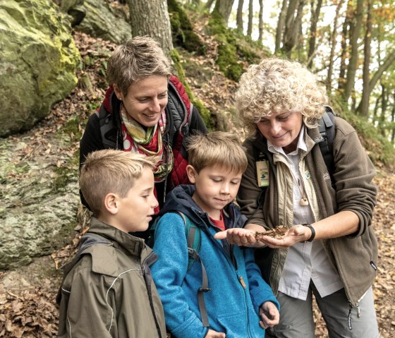 Familientour, © Nationalpark Eifel / D. Ketz Familientour, © Nationalpark Eifel / D. Ketz