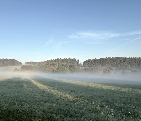 IMG_3127, © C. Wolter IMG_3127, © C. Wolter