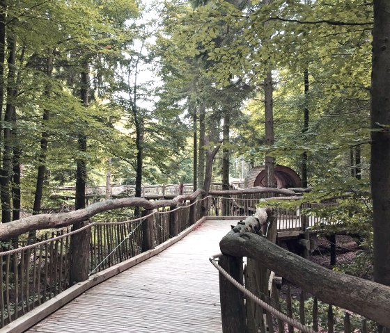 Wilder Weg im Nationalpark Eifel, © Eifel Tourismus GmbH Wilder Weg im Nationalpark Eifel, © Eifel Tourismus GmbH