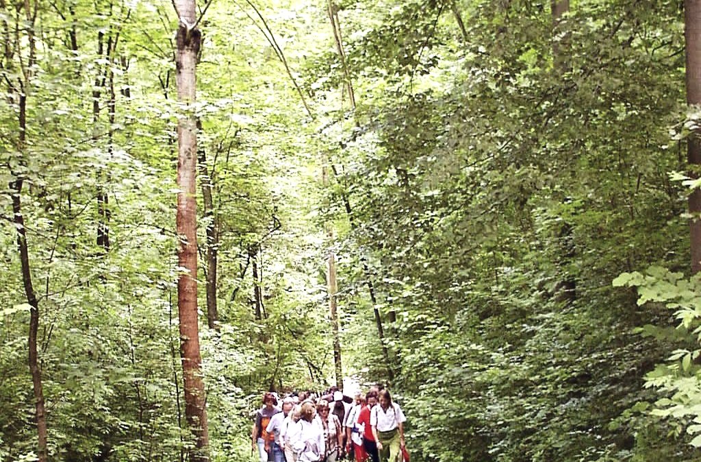 Baldrian, Dost und Dill, © Naturzentrum Eifel Baldrian, Dost und Dill, © Naturzentrum Eifel