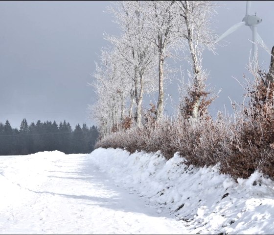 Verschneiter Wanderweg Verschneiter Wanderweg