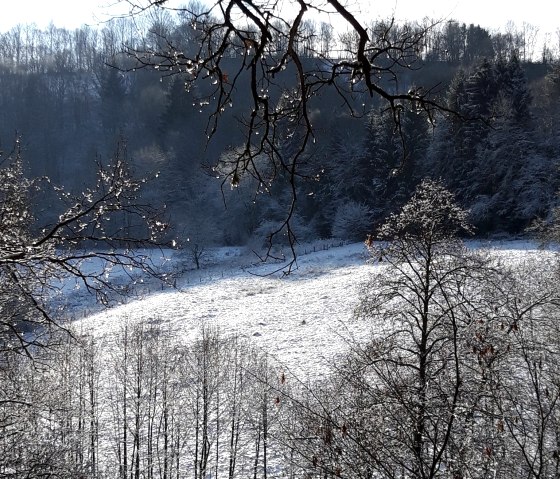 Winterlandschaft Winterlandschaft