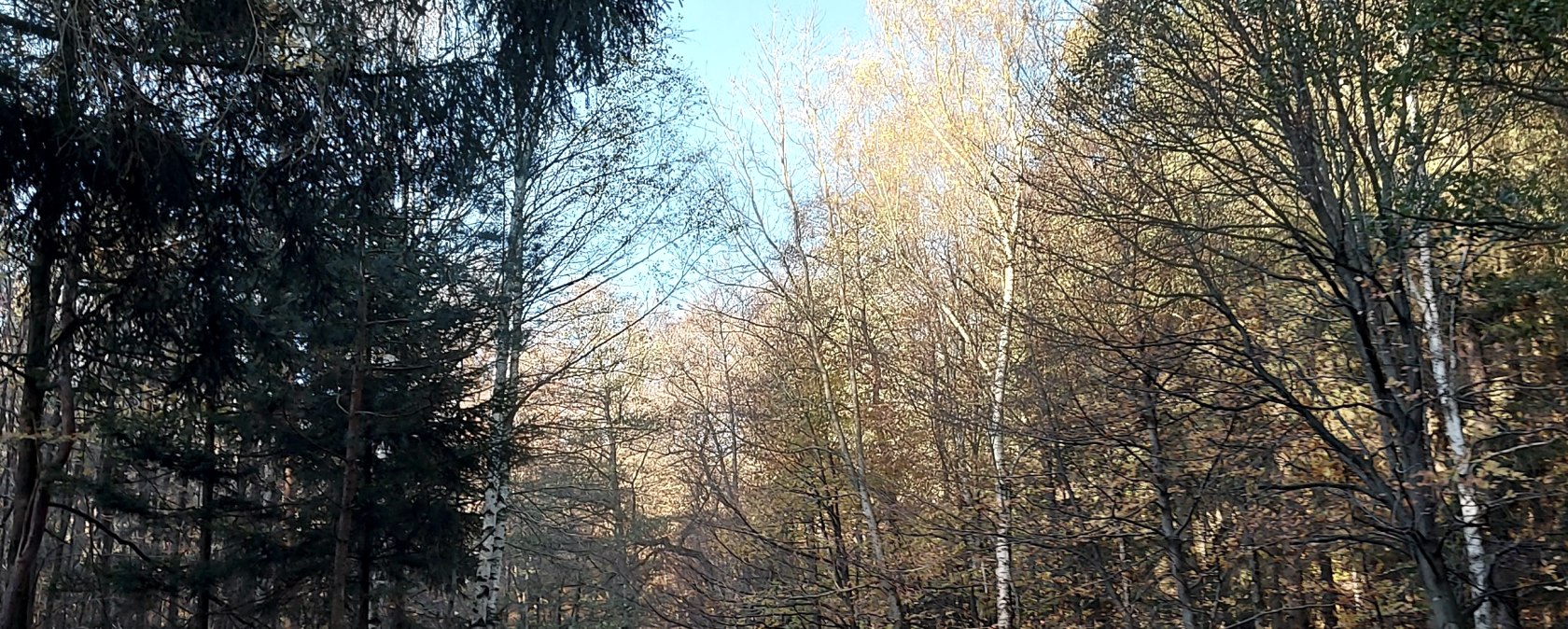 November atmosphere, forest path, blue sky (co) Theißen November atmosphere, forest path, blue sky (co) Theißen