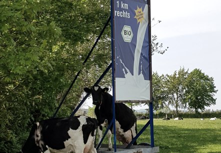Frische Milch aus dem Milchautomat, © Biohof Beuel Frische Milch aus dem Milchautomat, © Biohof Beuel